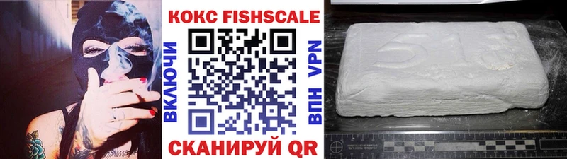 дарнет шоп  Северобайкальск  КОКАИН FishScale 