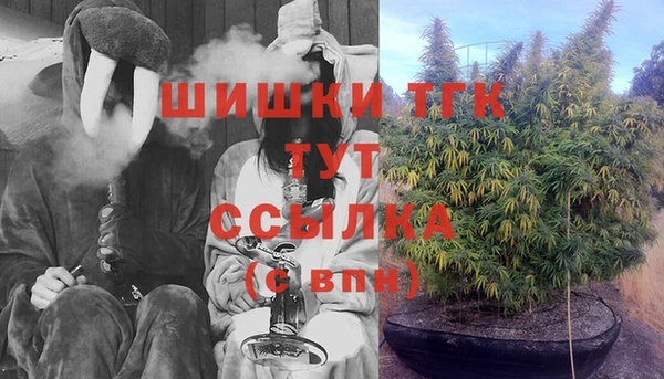 индика Сясьстрой