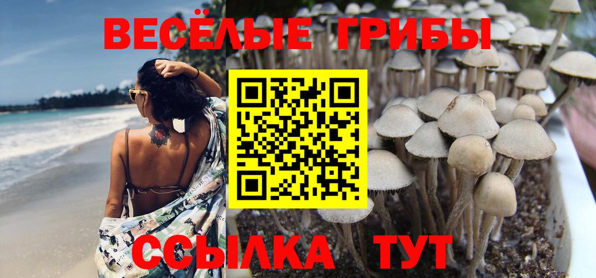Галлюциногенные грибы Magic Shrooms Северобайкальск