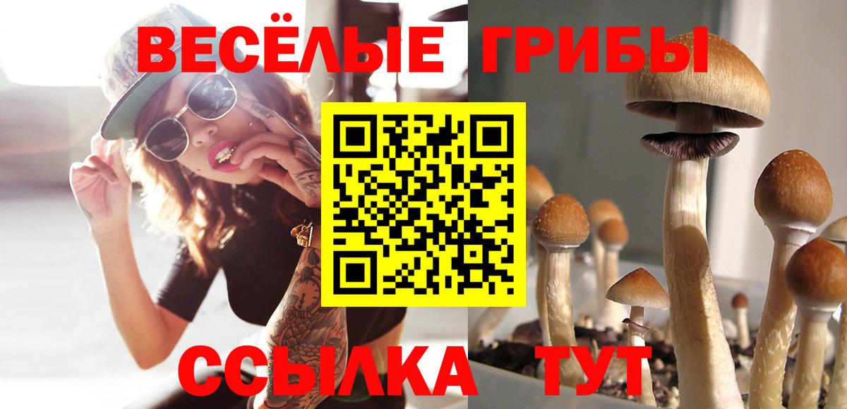 Псилоцибиновые грибы мухоморы  Вход с VPN  Северобайкальск 